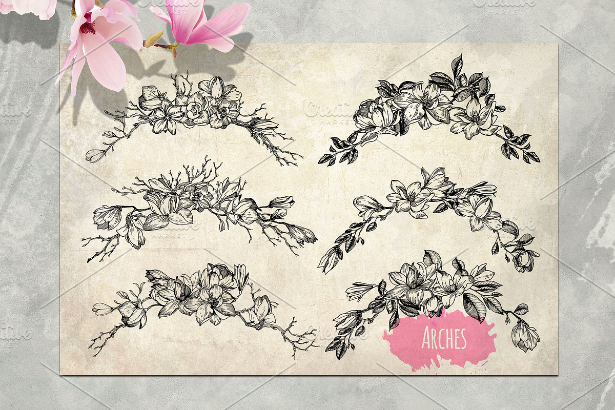 Magnolia flowers. Engraving style., a Decorative Illustration by Alena Kaz (Photo 8 of 12)