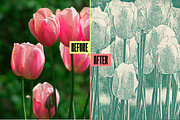 Grain Stamp Photo Effect, a Layer Style Add-On by dokudokunomi (Thumbnail 4 of 5)