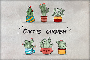 Cacti 