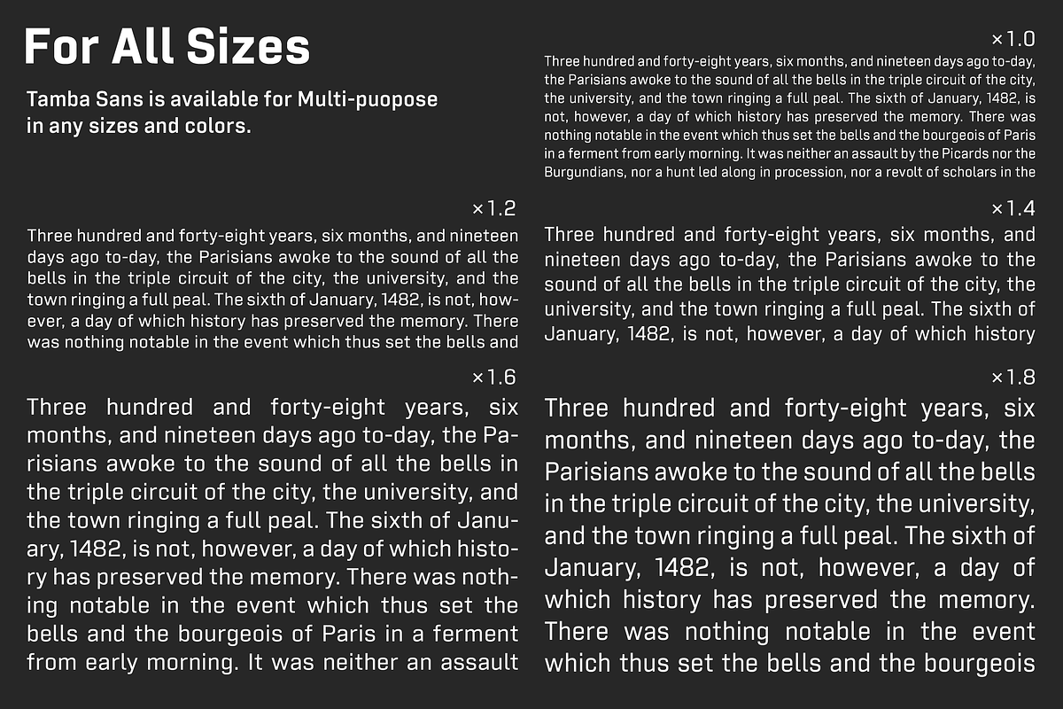 Tamba Sans, a Sans Serif Font by Dharma Type (Photo 10 of 12)