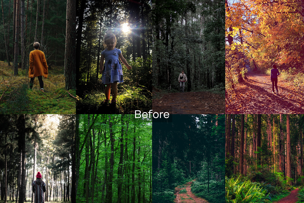 10 Forest Lightroom Presets, a Preset Add-On by RamsaGraphi (Photo 2 of 10)