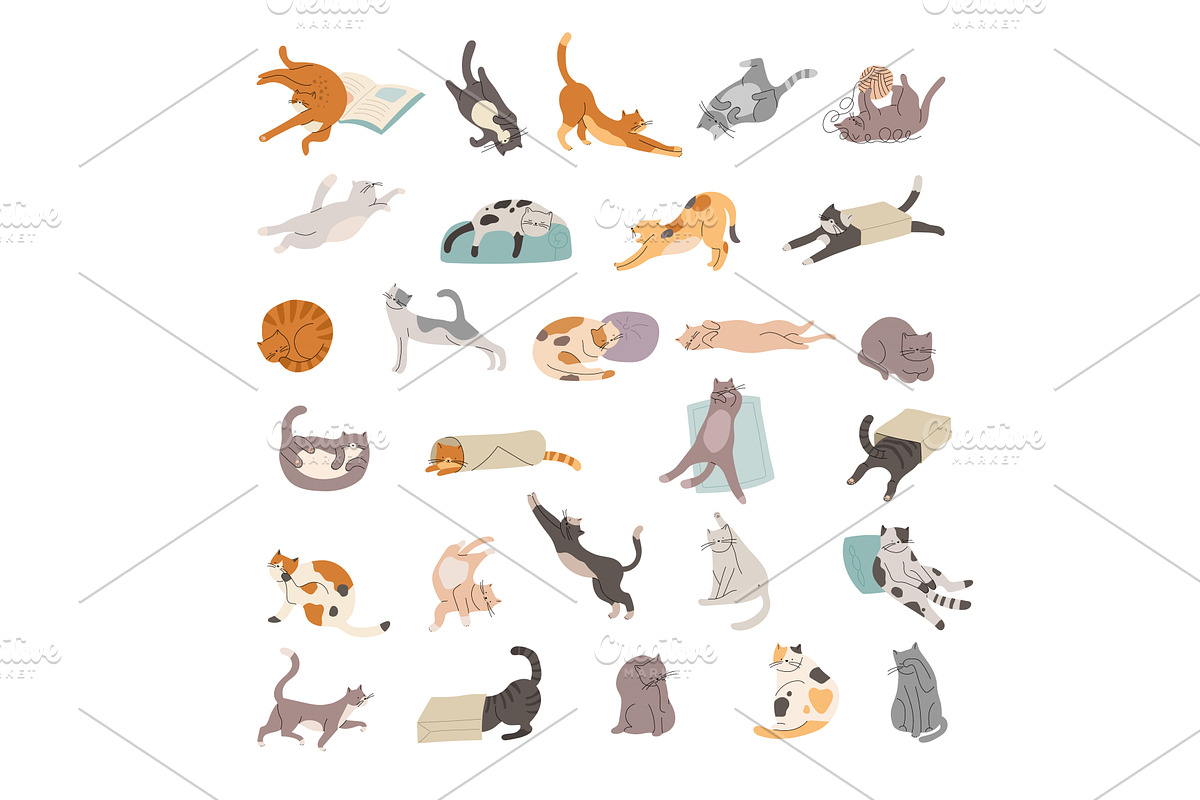 Funny cats. Domestic little kitten, a Graphic by Onyx