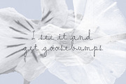 Moth & Static Handwritten Font, a Script Font by Mneme (Thumbnail 5 of 9)
