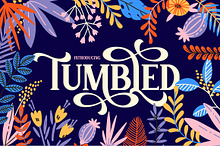 Tumbled Serif Font