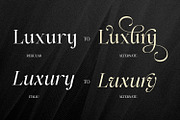 Alerigue — Editorial Serif Font, a Serif Font by Black Junst (Thumbnail 6 of 16)