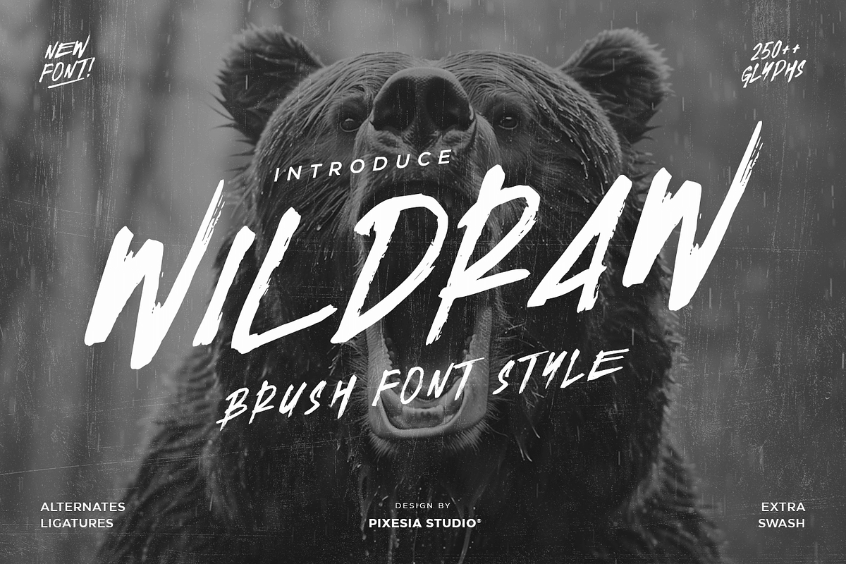 Wildraw - Bold Brush Font, a Handwritten Font by Pixesia Studio (Photo 1 of 15)