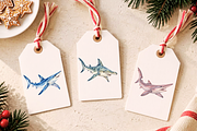 Watercolor Shark Clipart PNG Bundle, an Animal Illustration by Ink Gallery (Thumbnail 7 of 7)