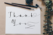 Briosh, a Script Font by Larin Type Co. (Thumbnail 12 of 12)