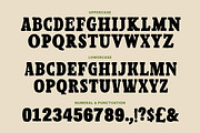 MN Unfold - Bold Display Typeface, a Slab Serif Font by Mantra Naga (Thumbnail 6 of 14)