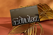 Mefiko || Elegant Stylish Serif Font, a Serif Font by Ermedia Studio (Thumbnail 7 of 10)