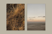 Lifestyle Essentials 3, a Beauty & Fashion Photo by Floral Deco (Thumbnail 2 of 7)