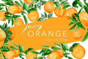 Juicy Watercolor Orange Collection