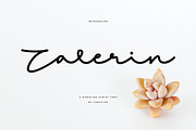 Zalerin Font | Smooth Monoline, a Script Font by Jadatype.id (Thumbnail 2 of 14)