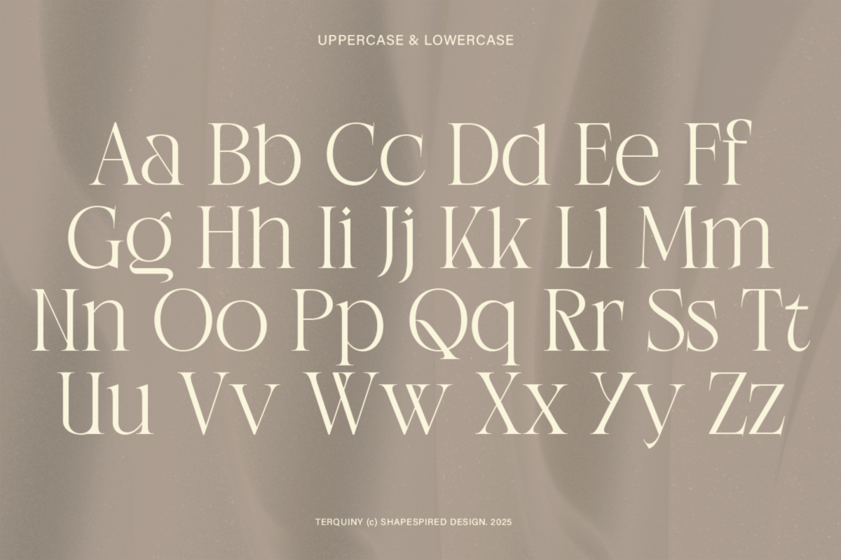Terquiny - Modern Luxury Serif, a Serif Font by Shapespired Design (Photo 4 of 17)