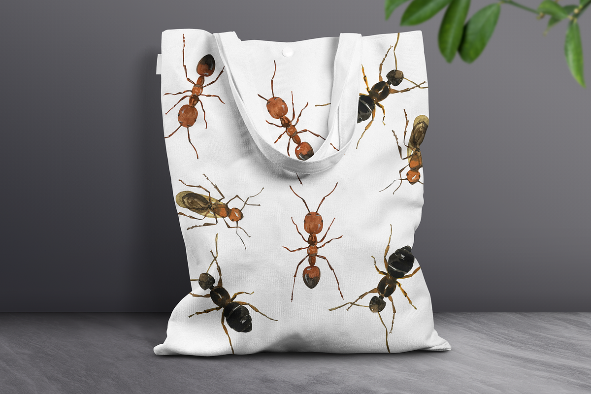 Ant Life Cycle Clip Arts and Print, an Education Illustration by Tati Bordiu (Photo 3 of 3)