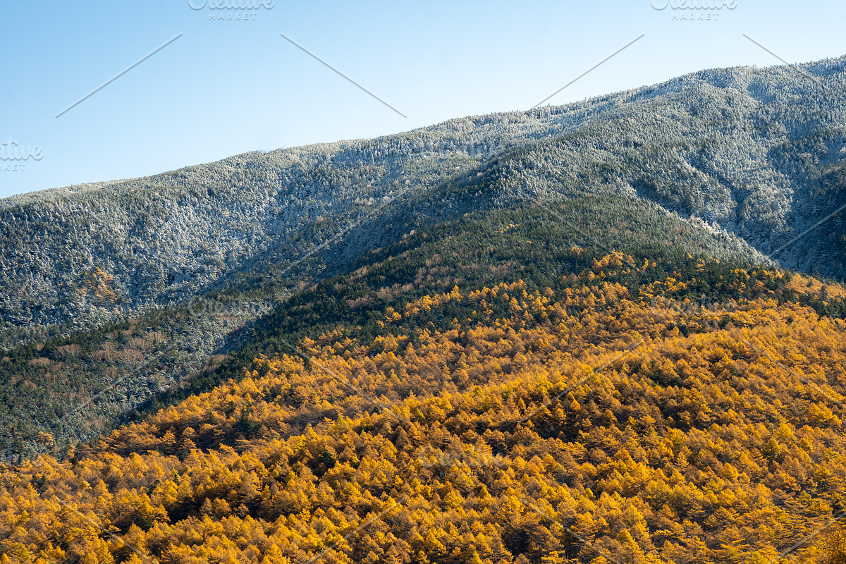 Autumn Landscape Photo Bundle Japan, a Nature Photo by Silent Nature (Photo 3 of 6)