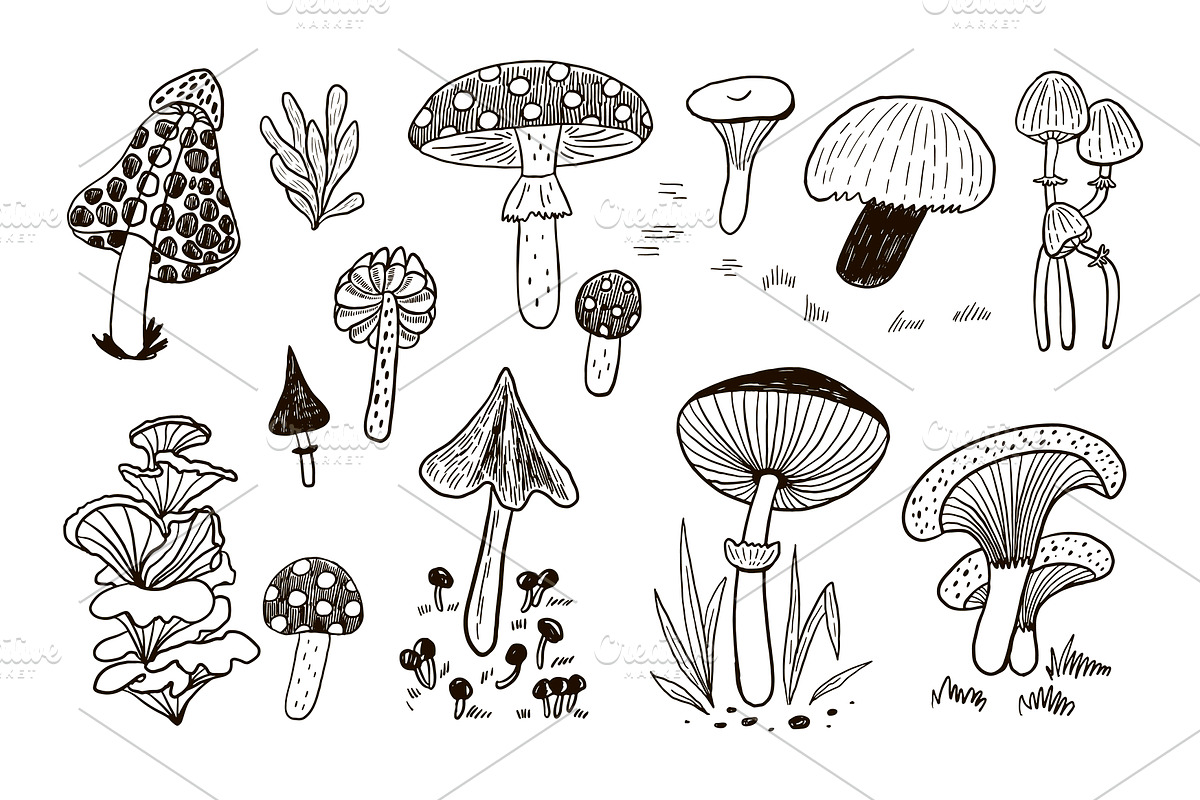 Mystical Forest, an Object Illustration by GooseFrol (Photo 4 of 11)
