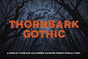 18 Spooky Horror Font Bundle, a Script Font by AN Productions (Thumbnail 4 of 48)