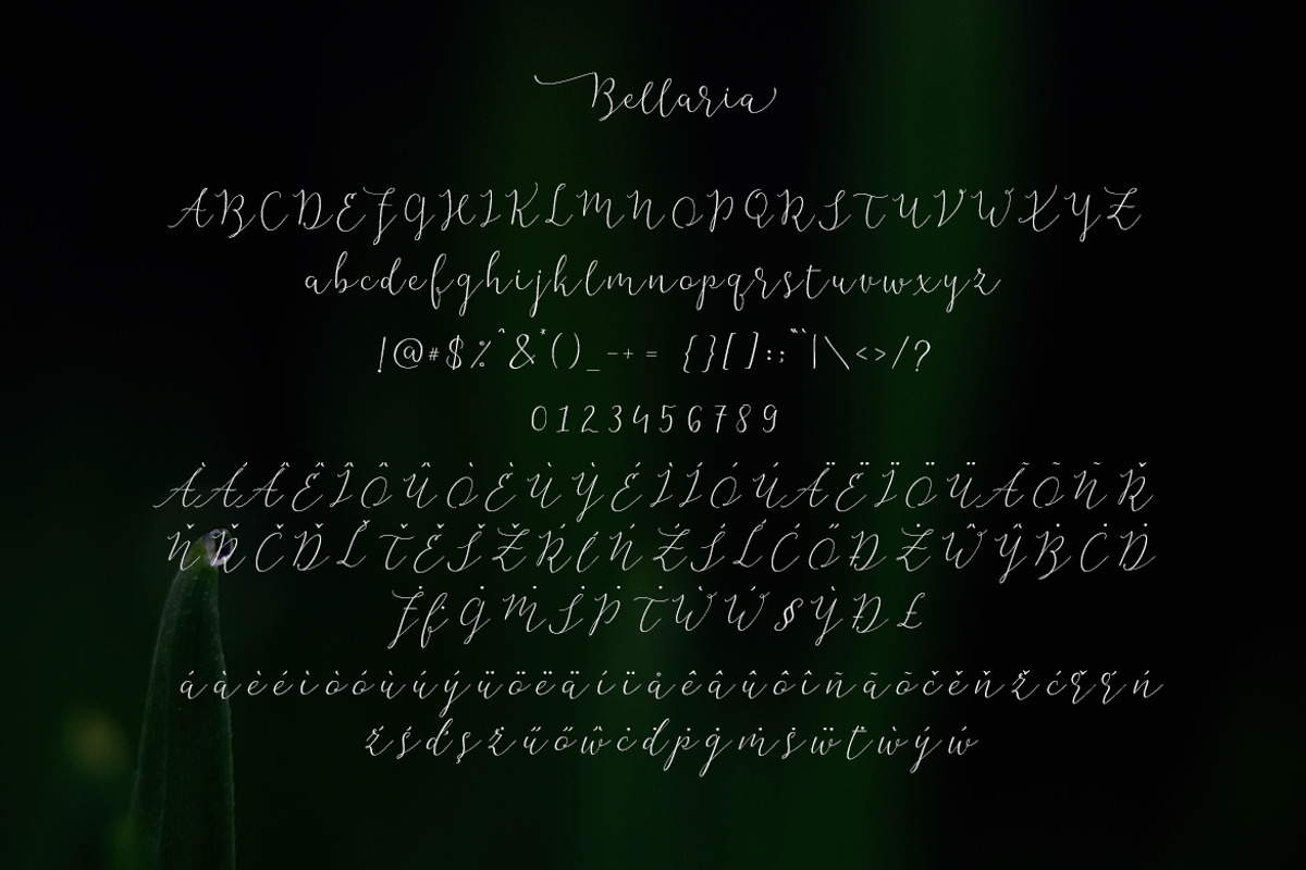 Bellaria Script preview 7