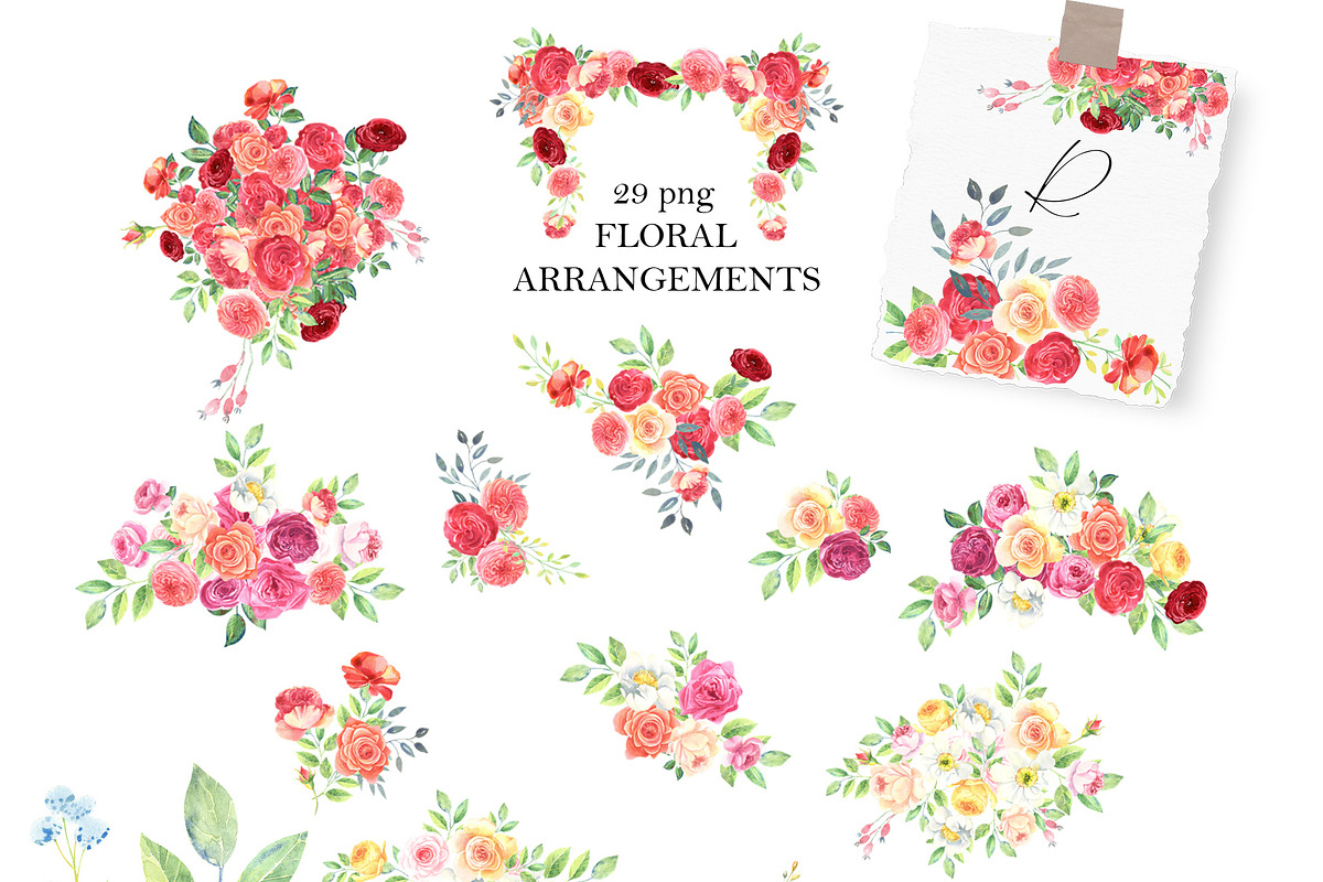 Variety of  Roses, an Illustration by JennyColorArt (Photo 2 of 9)