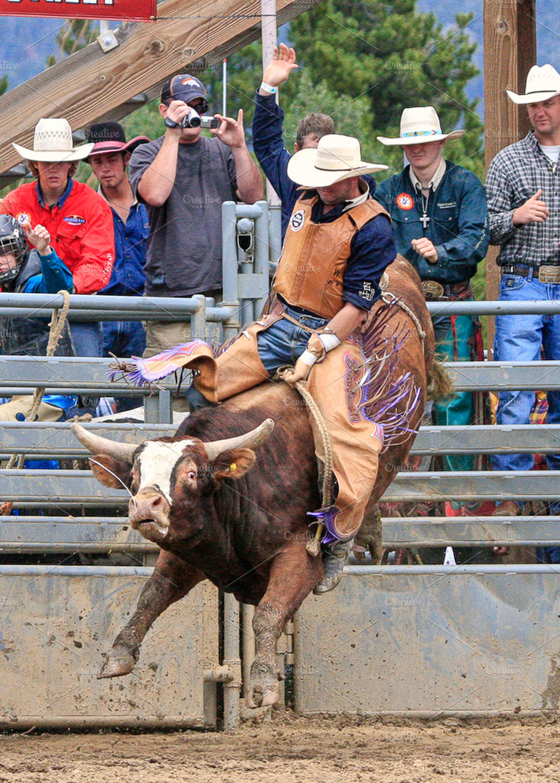 Bull riding stock photo containing bull and animal, a Sports & Recreation Photo by RodeoPixels WesternImage