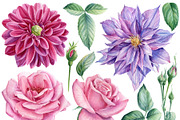 Delicate flowers, a Decorative Illustration by Hanna Hryharenka (Thumbnail 4 of 13)