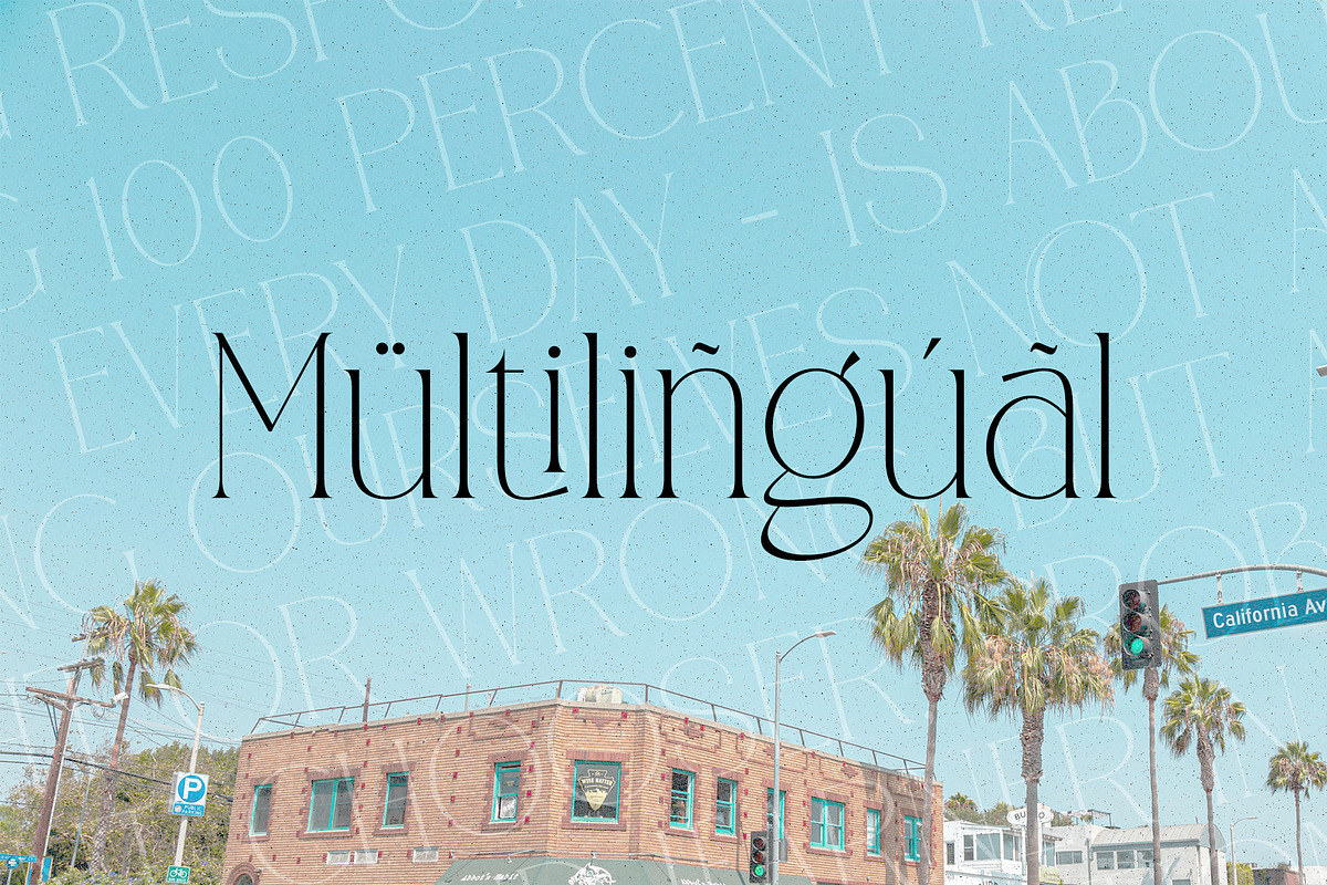 CANOVER | Ligature Serif, a Serif Font by ToniStudio (Photo 9 of 11)