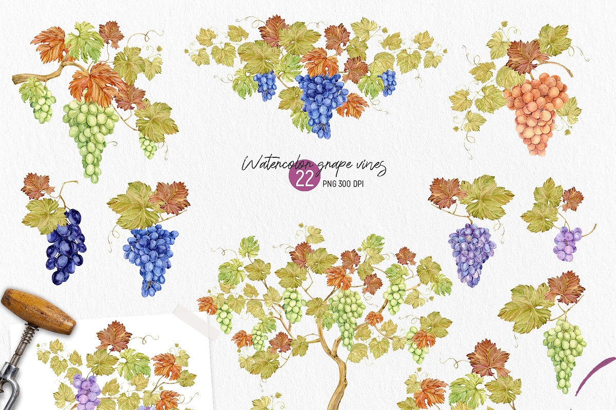 Craft WINE. Watercolor set, an Illustration by Tata Pilip (Photo 2 of 16)