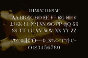 Tevano || Modern Unique Serif Font, a Serif Font by Ermedia Studio (Thumbnail 6 of 10)