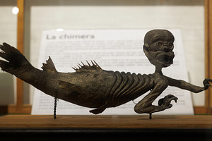 Chimera displayed in the Wunderkammer of the Civic Museum of Nat, an Arts & Entertainment Photo by Bepslabor