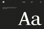 CS Reamus – Serif Typeface, a Serif Font by Craft Supply Co. (Thumbnail 4 of 8)