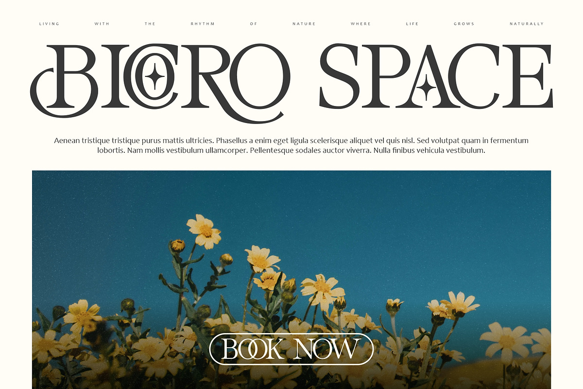 Mirole - Modern Luxury Font, a Serif Font by Bentype Studio (Photo 6 of 7)