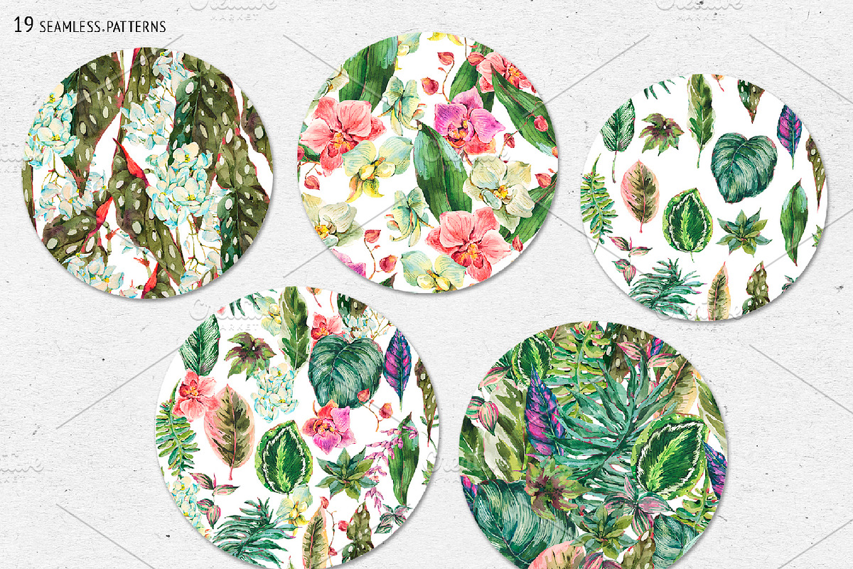 Tropical leaves graphic pack, an Illustration by Belusuab (Photo 12 of 16)