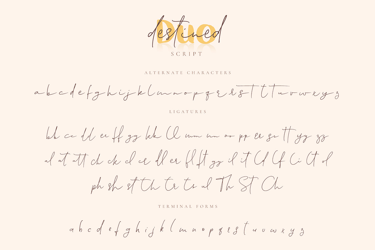 Destined Duo Brush Sans & Signature, a Script Font by Ayca Atalay (Photo 11 of 13)