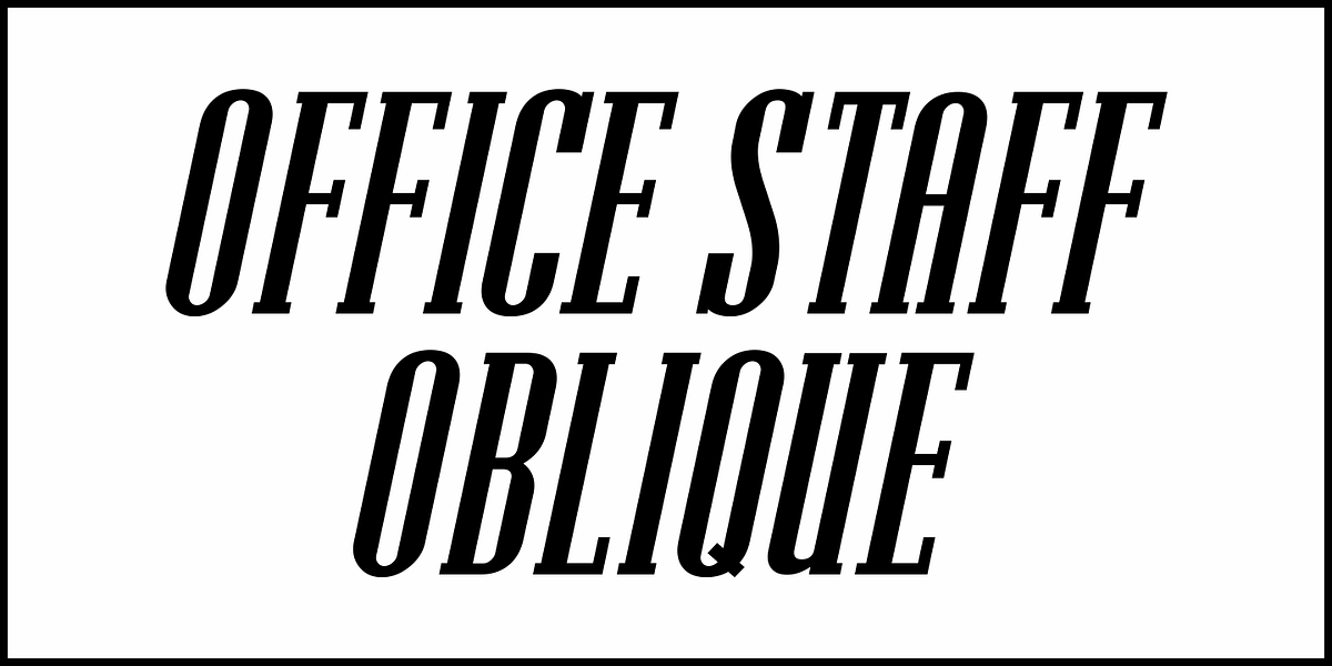 Office Staff JNL, a Serif Font by Jeff Levine Fonts (Photo 4 of 5)