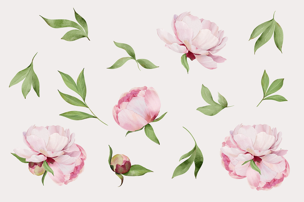 -30% Watercolor Peony Collection, an Object Illustration by bloomscape (Photo 3 of 10)