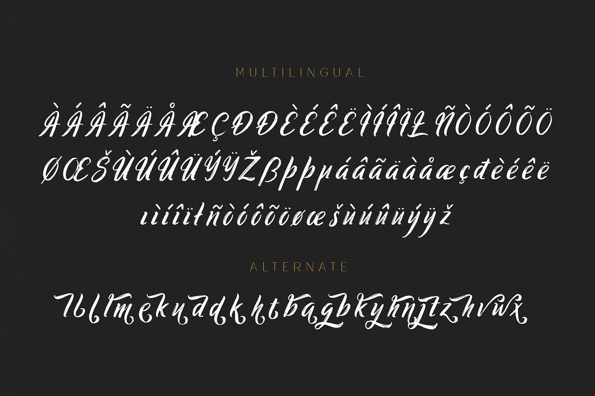 Ringtrack - Rough Brush Fonts, a Script Font by Patria Ari (P4tcreativa) (Photo 9 of 10)