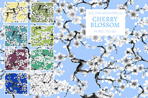 Cherry Blossom (Seamless Patterns)