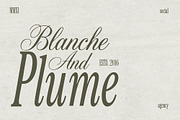 Old Money - Luxury Branding Fonts, a Font by AndrewPixelType (Thumbnail 5 of 10)