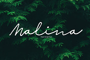 Malina | Script Font, a Script Font by Artstudio (Thumbnail 1 of 6)