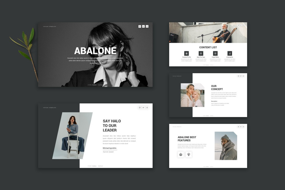 Abalone - Powerpoint Template, a Presentation Template by StreaksideStd