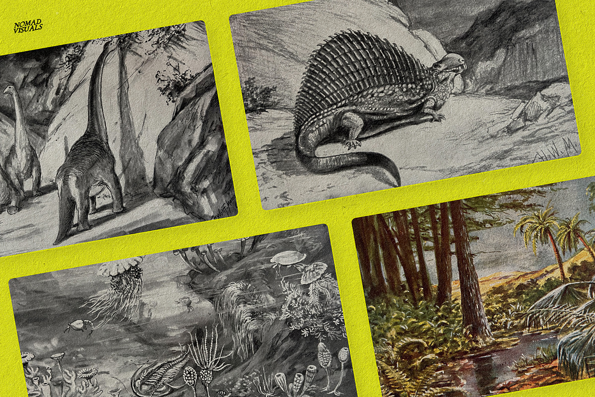 The Age of Dinosaurs, an Illustration by Nomad Visuals (Photo 4 of 10)