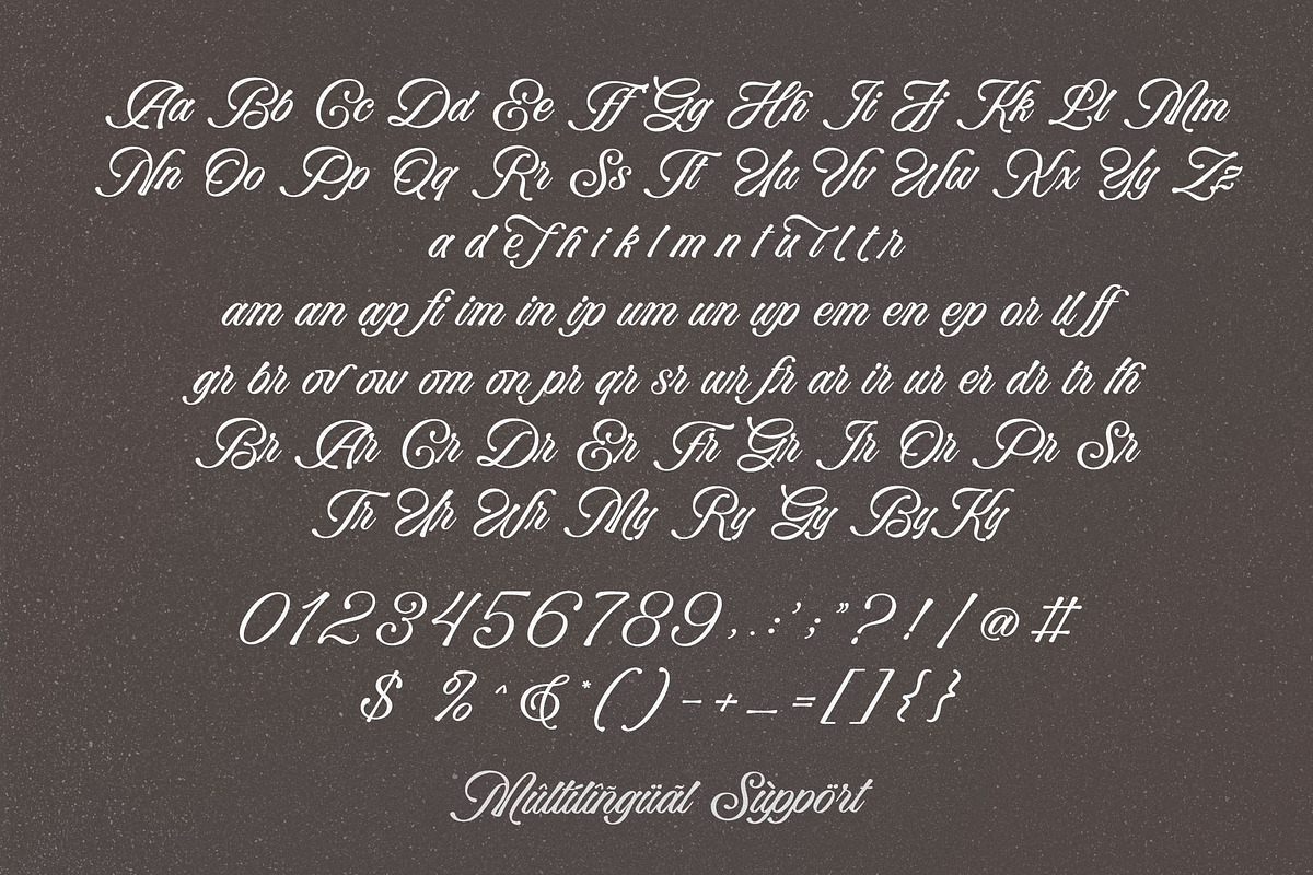 Bella Elegante - Calligraphy Font, a Script Font by Subectype Studio (Photo 9 of 10)
