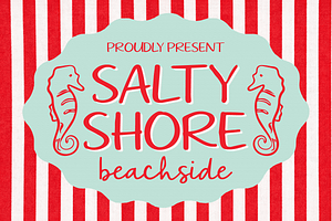 Salty Shore Beachside - Vintage Font