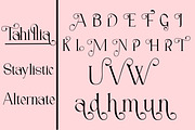 Tahillia, a Serif Font by Canden Meutuah (Thumbnail 5 of 10)