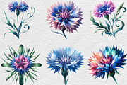 Watercolor Cornflower Clipart, an Illustration by Black Bird Studio (Thumbnail 5 of 6)