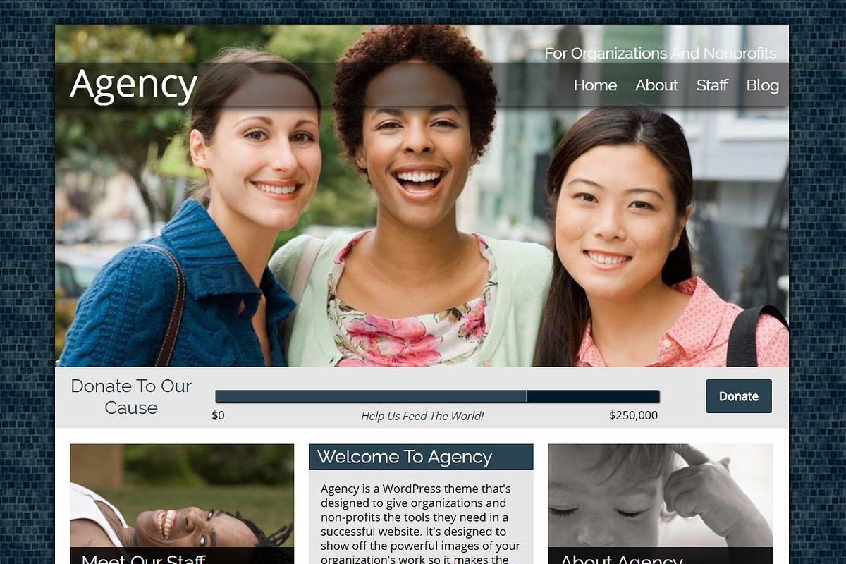Agency - Nonprofit WordPress Theme, a WordPress Template by Organized Themes