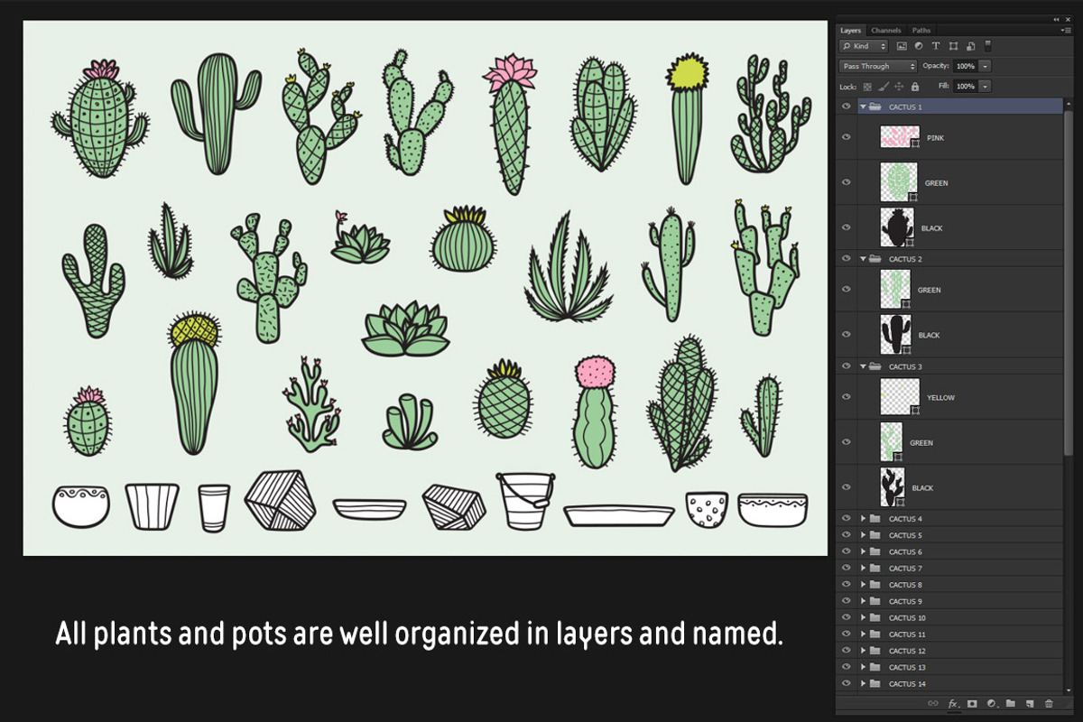Cactus Collection, a Decorative Illustration by Chelovector (Photo 4 of 4)