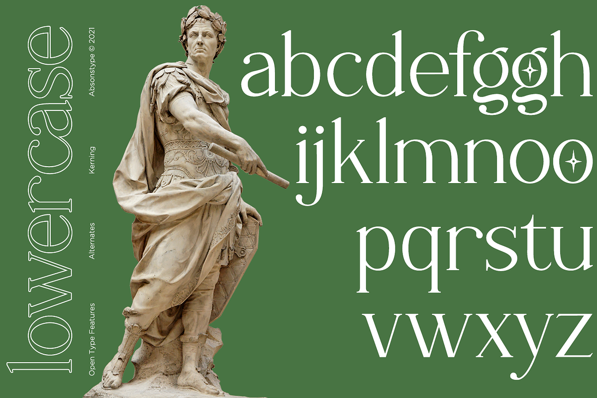 Rottering - Modern Serif Typeface, a Serif Font by Absonstype (Photo 5 of 12)
