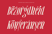 MTC Tailrose - A Quirk Serif Font, a Serif Font by Martype (Thumbnail 10 of 12)